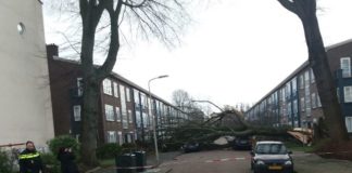 Three people are killed as winter storm batters the Netherlands