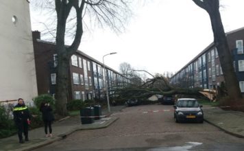 PM Romeo Marlin expresó condolencias al gobierno y el pueblo de los Países Bajos