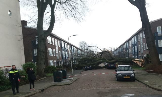 Three people are killed as winter storm batters the Netherlands