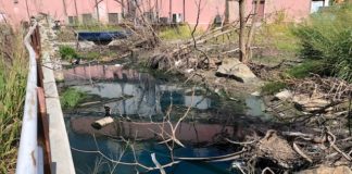 Preocupa a la Fundación Sint Maarten Nature las Aguas Residuales, Basura y Materiales Vertidos en la Playa Kim Sha