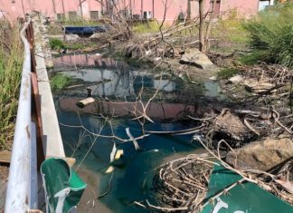 Preocupa a la Fundación Sint Maarten Nature las Aguas Residuales, Basura y Materiales Vertidos en la Playa Kim Sha