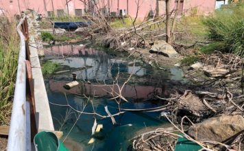 Sint Maarten Nature Foundation Concerned About Waste Water, Garbage and Possible Sewage Being Dumped at Kim Sha Beach
