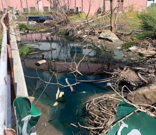 Preocupa a la Fundación Sint Maarten Nature las Aguas Residuales, Basura y Materiales Vertidos en la Playa Kim Sha