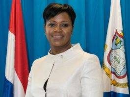 El PNUD consulta a un experto en gestión de riesgos de desastres Leon Romeo Marlin Primera Ministra de Sint Maarten.