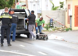 NOTICIA: Se produce la primera víctima fatal del 2018 por accidente de tránsito en Cole Bay