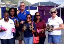 Rotary and Shoes that Grow