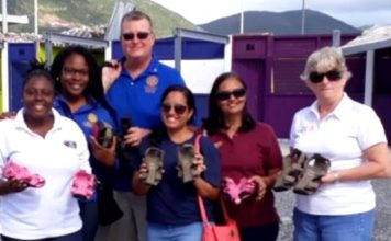 Rotary and Shoes that Grow