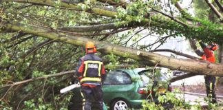 Storm damage to Dutch homes and cars put at over €90m