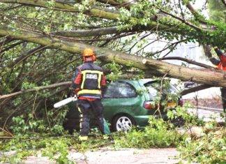 Storm damage to Dutch homes and cars put at over €90m