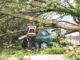 Storm damage to Dutch homes and cars put at over €90m