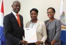 St. Maarten Development Fund grants 3 million guilders in 2017