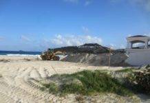 Preocupa a Nature Foundation actividades que amenazan los nidos de tortugas en Guana Bay