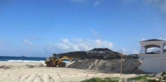 Nature Foundation has Grave Concerns Regarding Activities on Guana Bay Beach Native Sea.