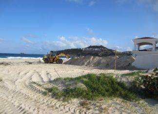 Nature Foundation has Grave Concerns Regarding Activities on Guana Bay Beach Native Sea.