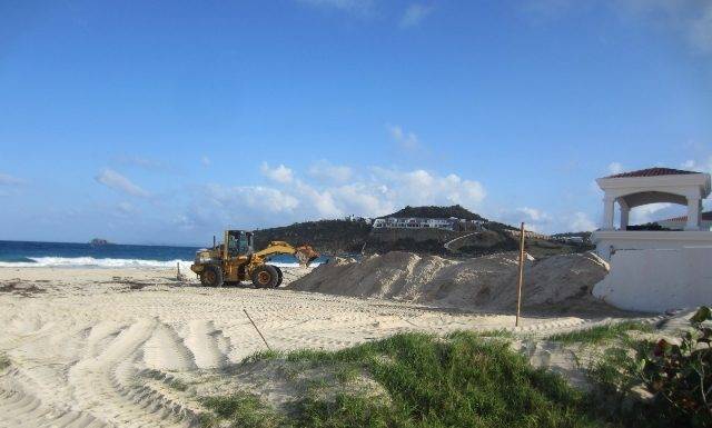 Preocupa a Nature Foundation actividades que amenazan los nidos de tortugas en Guana Bay