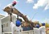 UNDP “Building Back Better St. Maarten”