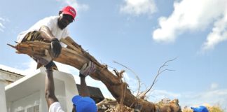 UNDP “Building Back Better St. Maarten”