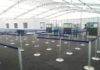 ACTUALIZACIÓN: Aeropuerto SXM abrió el viernes, el pabellón de llegada temporal