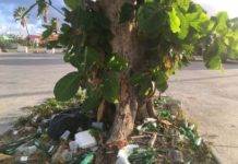 Nature Foundation insta a la población a ser responsable con la basura en Semana Santa y fiestas del Carnaval