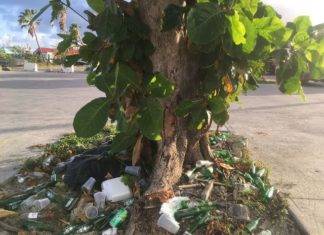 Nature Foundation Urges Community to Be Responsible During Easter, Carnival Holidays