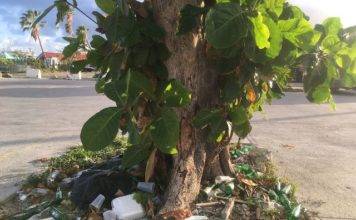 Nature Foundation insta a la población a ser responsable con la basura en Semana Santa y fiestas del Carnaval