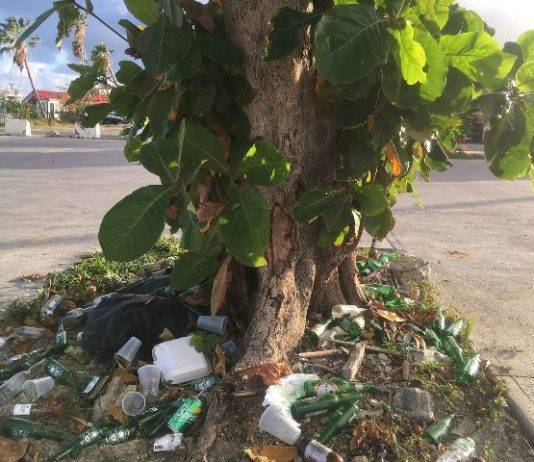 Nature Foundation insta a la población a ser responsable con la basura en Semana Santa y fiestas del Carnaval