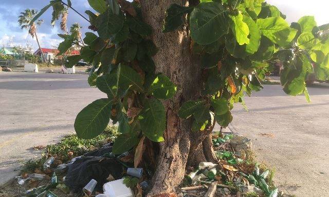 Nature Foundation insta a la población a ser responsable con la basura en Semana Santa y fiestas del Carnaval