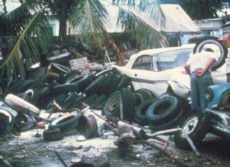 CPS Commences with Mosquito Breeding Site Elimination and Clean-Up on Monday