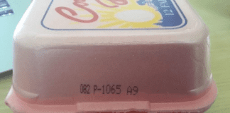 SALUD PÚBLICA ADVIERTE DE LA EXISTENCIA DE HUEVOS CONTAMINADOS CON SALMONELA EN SUPERMERCADOS DE ST. MAARTEN
