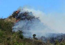 Middle region bush fire