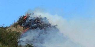 Middle region bush fire