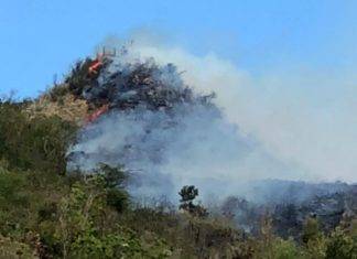 Middle region bush fire