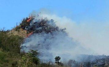 Middle region bush fire