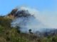 Middle region bush fire