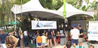 St Maarten Nature Foundation Organizes for the Third Time Kids Shark Day at Buccaneer Beach Bar on Saturday the 9th of June
