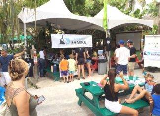 St Maarten Nature Foundation Organizes for the Third Time Kids Shark Day at Buccaneer Beach Bar on Saturday the 9th of June