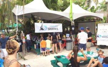 St Maarten Nature Foundation Organizes for the Third Time Kids Shark Day at Buccaneer Beach Bar on Saturday the 9th of June