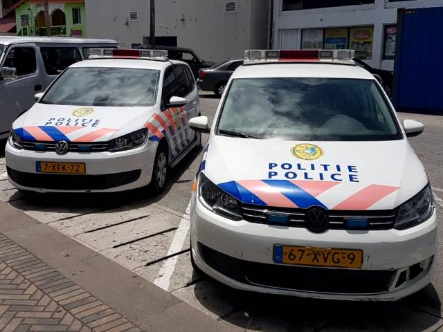 Dutch Police Cars yellow plate