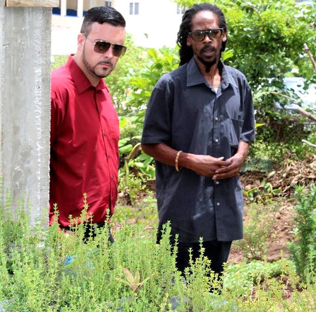 Spaceless Gardens