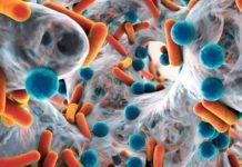 CPS invites health care providers to register for AMR Information Session