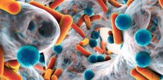 CPS invites health care providers to register for AMR Information Session