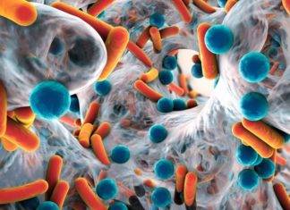 CPS invites health care providers to register for AMR Information Session