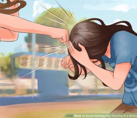 School fight investigation