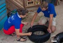 Waste2Work showcases their work for the first time at SMILE