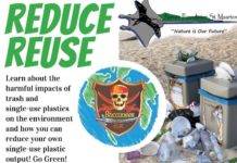 Nature Foundation St Maarten Organizes Reduce and Reuse night at Buccaneers Beach Bar on Sunday the 4th of November at 8pm