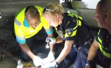 Appeal Court sentences shooters to lengthy prison times