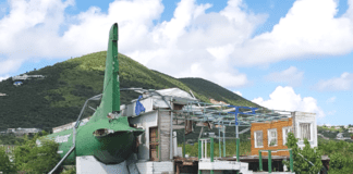 VROMI wants the removal of Air Lekkerbek plane