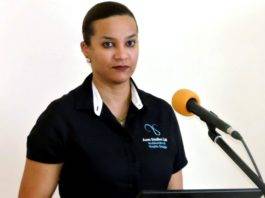 New Music Networking App Bodio Is Available for Caribbean Beta Testing