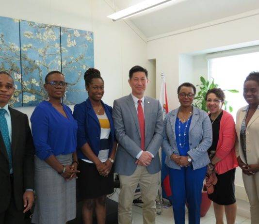 Ministry VSA and PAHO identify key areas for technical cooperation