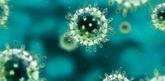Reminder: CPS calls on community to hit germs where they live after illness